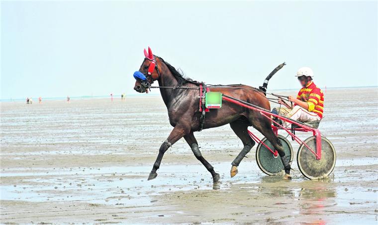 Unter anderem mit diesem Bild will Peta dokumentieren, dass die Fotos auch beim Duhner Wattrennen 2014 gemacht worden sind. Jockey und Startnummer sind im Original deutlich zu erkennen, wurden von der NZ aber unkenntlich gemacht. Foto Bolleininger