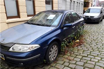 Unter diesem illegal abgestellten Auto wuchert schon das Unkraut.