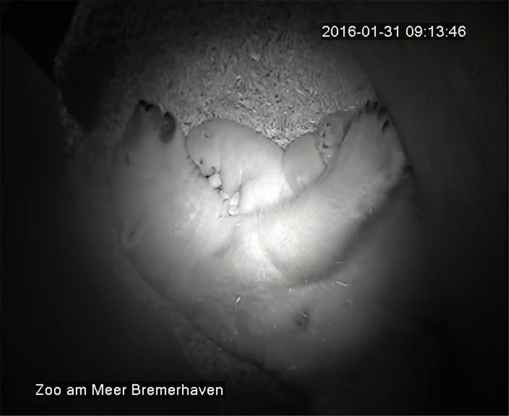 Valeska schmust mit ihrem sechs Wochen alten Baby.