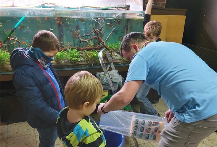 Beverstedt: Neues Schulaquarium dank Vater Vater Mitja Stemmann, Sohn Jonathan, Klassenkamerad Jasko und sein kleiner Bruder lassen neue Fische ins Schulaquarium frei.