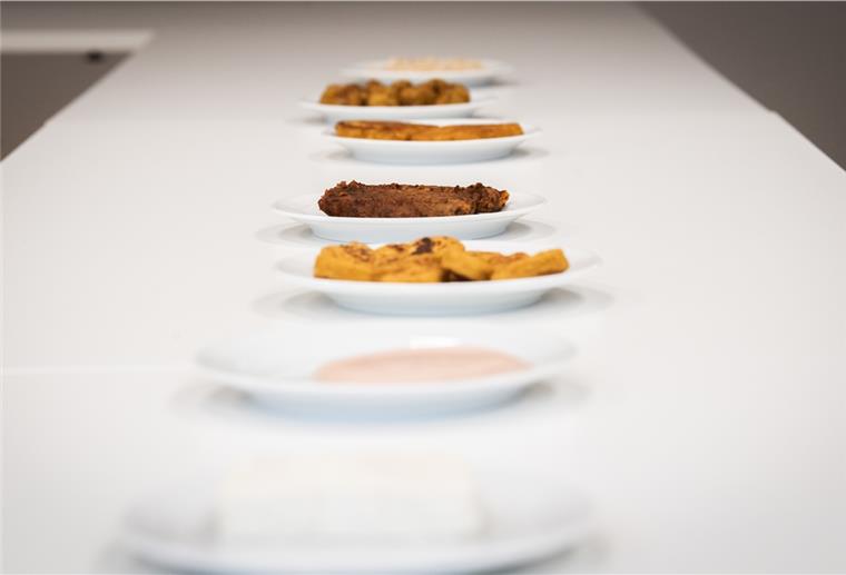Vegane Produkte, die heute auf dem Markt sind und Fleisch, Fisch oder Käse imitieren wollen, unterscheiden sich stark.