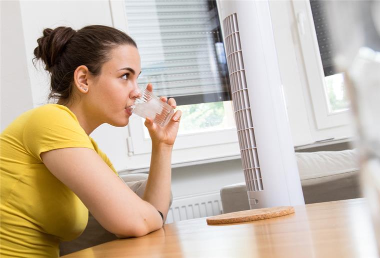 Ventilatoren können recht schnell ein Gefühl von Erfrischung an heißen Sommertagen vermitteln. Und sie sind wesentlich günstiger als mobile Klimageräte.