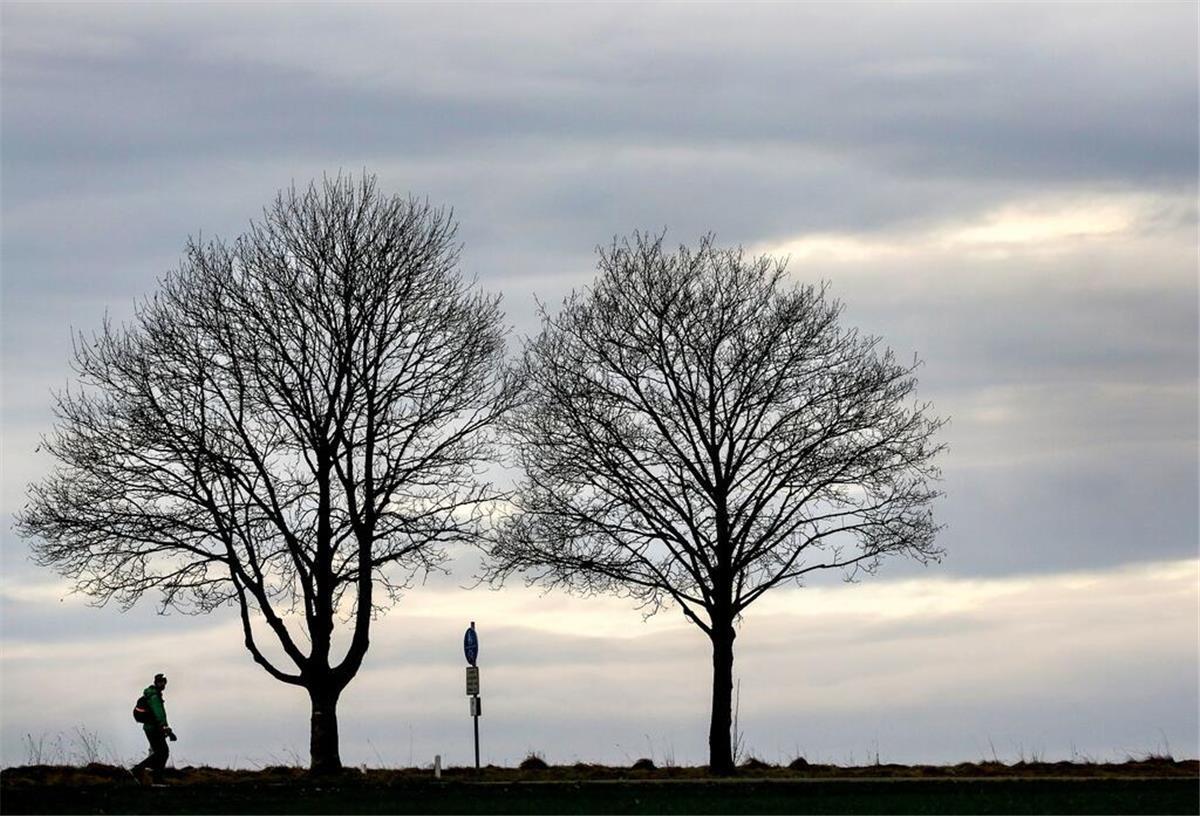 Winterliche Spaziergänge im Elbe-Weser-Dreieck: Entdecken Sie die schönsten Routen Verborgene Pfade im Elbe-Weser-Dreieck: Winterliche Entdeckungen