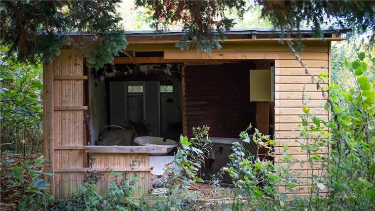 Verlassene Gartenhäuser aus Holz zwischen überwuchertem Grün.
