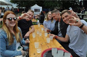 Viel Spaß hatten die Besucher des Riverside-Festivals in Brake. 
