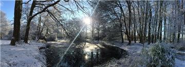 Viele Bremerhavener sehnen sich Jahr für Jahr nach weißer Weihnacht, wie auf diesem Winterbild im Speckenbütteler Park. 