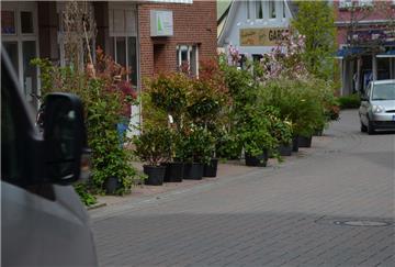 Viele Bürger haben sich gefreut über das zusätzliche Grün und den „Einbahnstraßentest“ in der Mattenburger Straße im Ortskern von Bad Bederkesa.