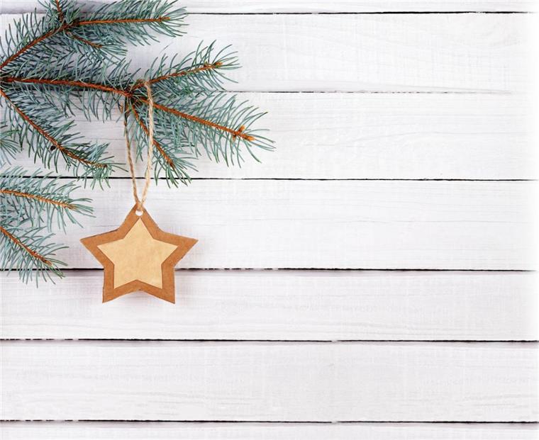 Weihnachtsstern am Weihnachtsbaum aus dem Adventskalender von HEIN dein Norden