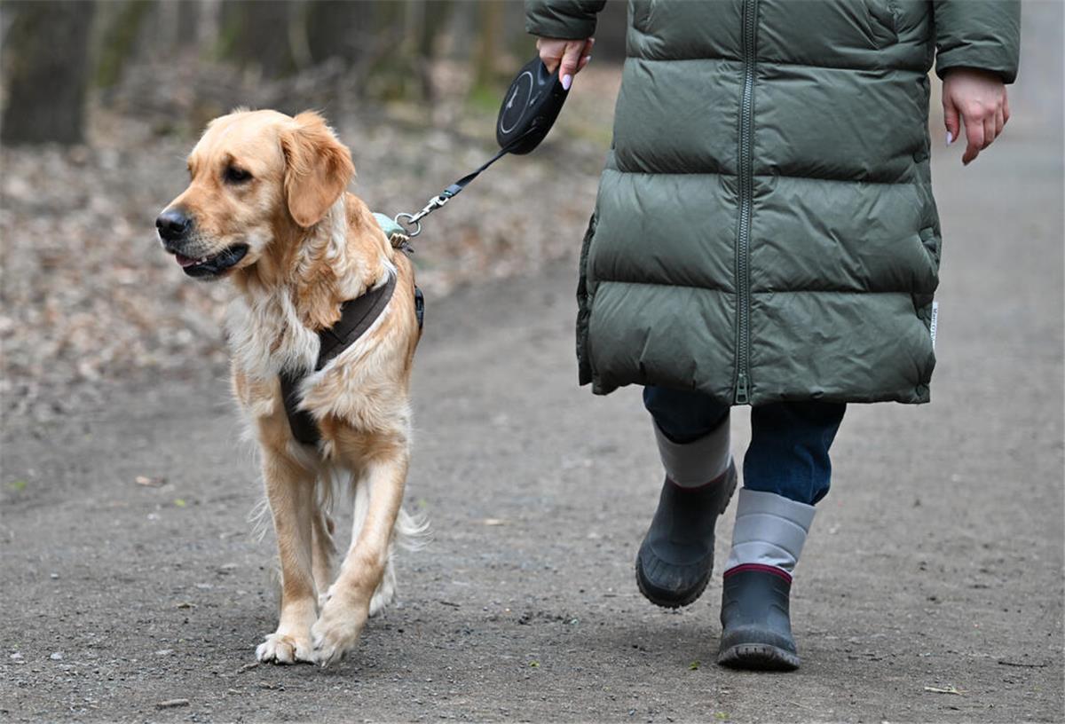 Eine Frau geht im Frankfurter Stadtwald mit ihrem Hund spazieren.