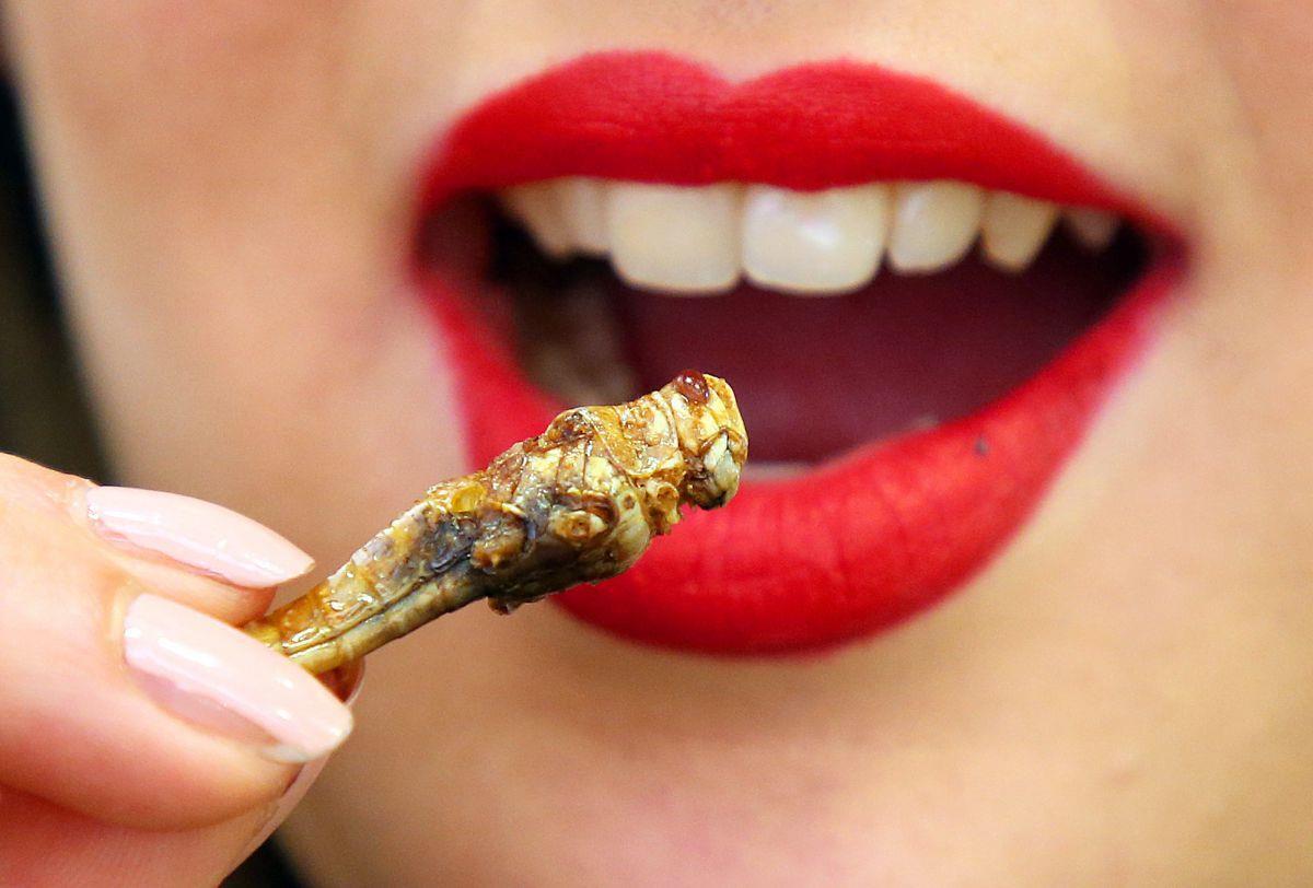 Viele Menschen auf diesem Planeten essen bereits Insekten. In Zukunft werden die Tierchen auch in anderen Ländern eine Rolle als Eiweißlieferanten spielen. 