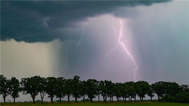 Viele Menschen suchen unter Bäumen Schutz vor Unwetter und sind sich der Gefahr nicht bewusst. (Archivfoto)