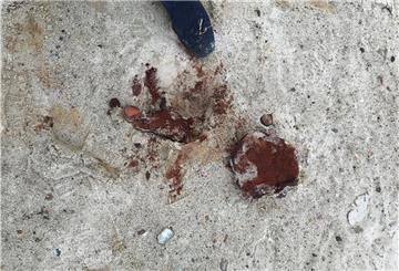 Viele Spaziergänger haben sich schon gefragt, was das sein könnte: Die Klumpen zerfallen recht leicht und liegen überall als größere Brocken oder kleinere Steine am Duhner Strand.