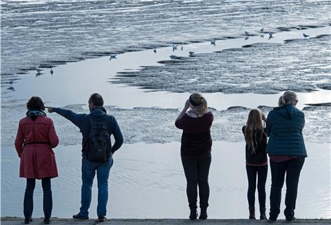 Vogelfreunde lassen sich am Deich des Jadebusens die Zugvögel im Wattenmeer erklären. Millionen von Vögeln werden in den kommenden Wochen wieder an der niedersächsischen Küste erwartet.