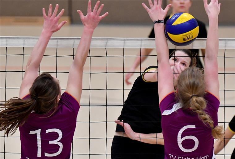Sporthallen sollen nach den Ferien wieder öffnen Volleyballer wie die des Geestemünder Tunrvereins sind von der Hallenschließung betroffen.
