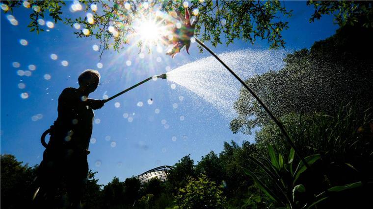 Region Hannover schränkt Bewässerung im Sommer erneut ein Vom 1. Juni bis zum 30. September schränkt die Region Hannover die Wassernutzung für bestimmte Gruppen und zu bestimmten Zeiten ein.