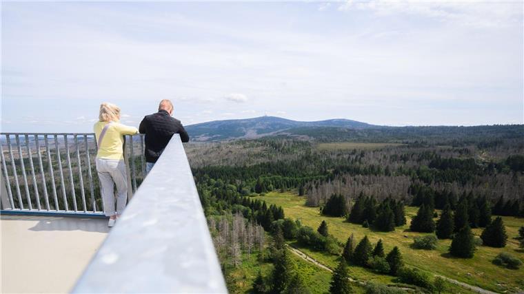 Harzturm geht in erstes Wochenende nach kompletter Eröffnung Vom Turm aus ist auch der Brocken zu sehen, der höchste Berg im Harz.