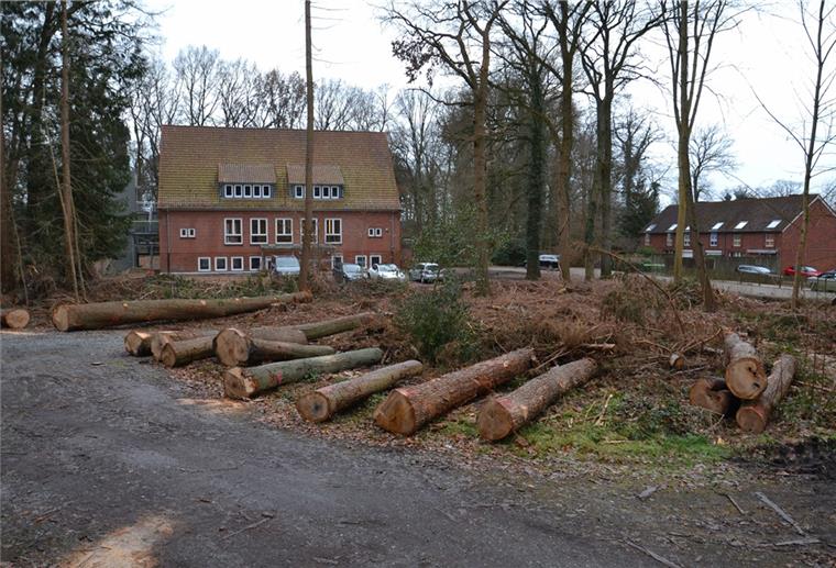 Baumstämme liegen vor einem Haus