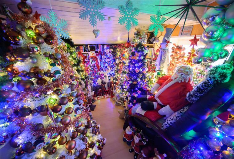 Hunderte Weihnachtsbäume finden in einem Haus in Niedersachsen Platz (Archivbild).
