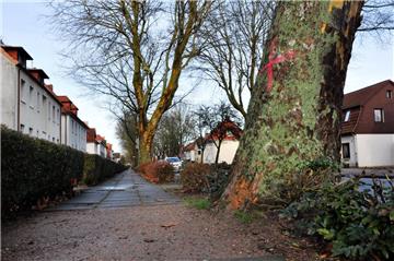 Von Wurzeln hochgedrückte Gehwegplatten in der Hansingstraße in Nordenham sind beseitigt worden.
