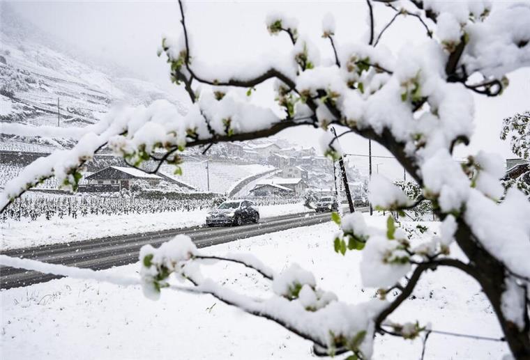 Schnee im Juli? Plötzlich Winter mitten im Sommer Schnee auf einer Straße