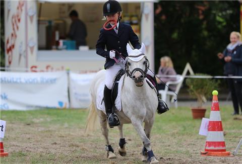 Reitturnier der TG Weser-West in Blexen