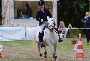 Reitturnier der TG Weser-West in Blexen