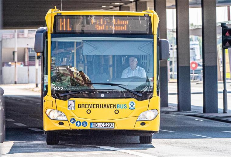 Hafen-Liner