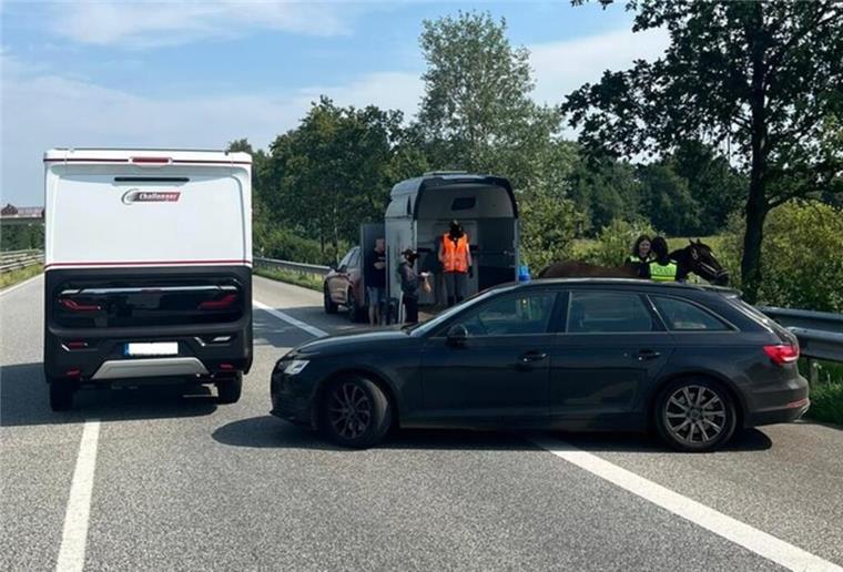 A27 bei Geestland: Und plötzlich steht ein Pferd auf der Autobahn Während der Verladung des Pferdes musste die Autobahn kurzzeitig gesperrt werden. Es kam zu Behinderungen.