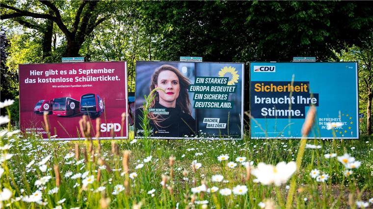 Wahlplakate zur Europawahl von der SPD, Bündnis90/ Die Grünen und der CDU stehen an einer Straße.
