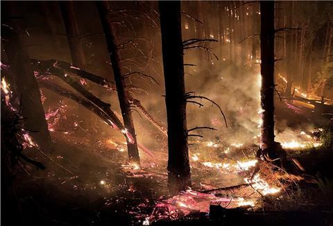 Waldbrände sollte man so schnell wie möglich der Feuerwehr melden.