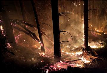 Waldbrände sollte man so schnell wie möglich der Feuerwehr melden.