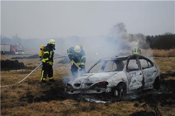 Warum das Auto auf der Weide Feuer fing, ist noch unklar.