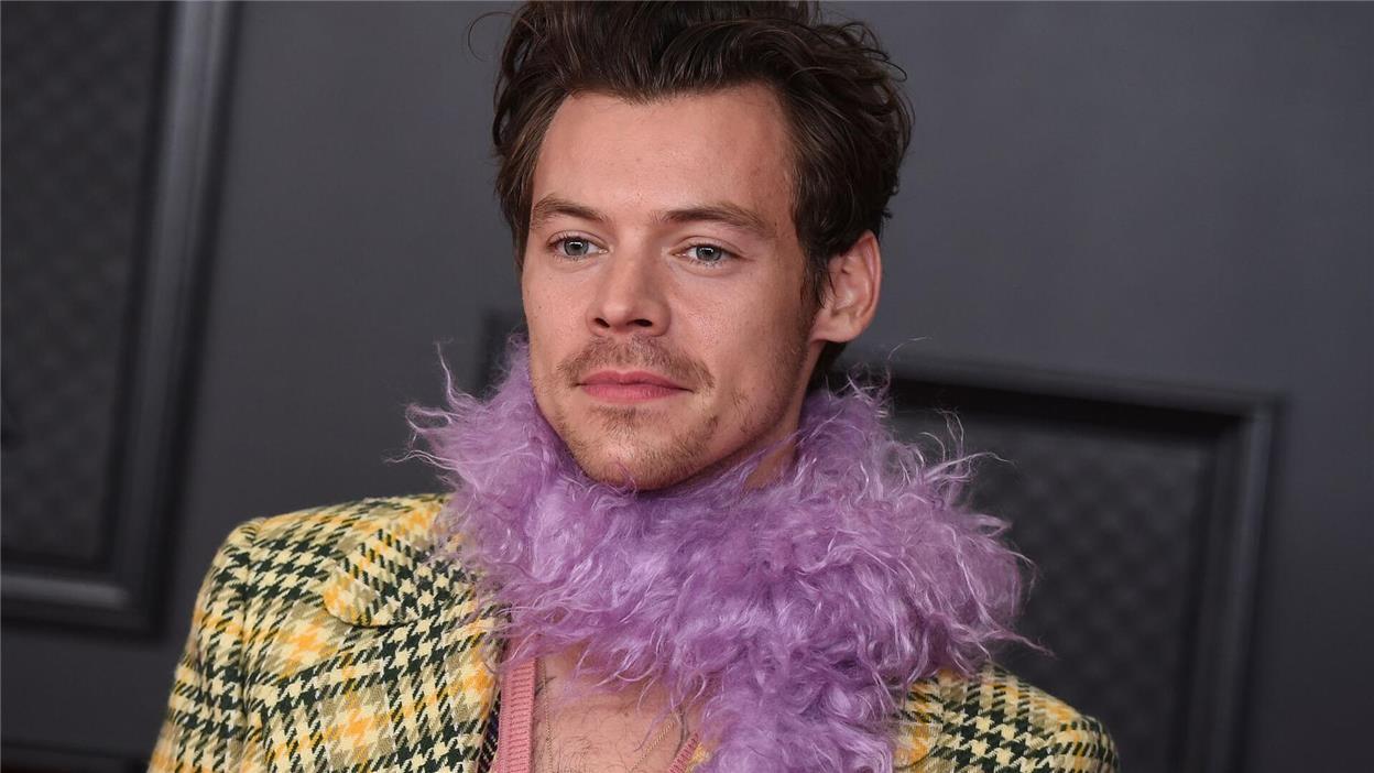 Zwischen Meme, Memme und Macho: Der Performative Male Was einen außergewöhnlichen Style für Männer angeht, ist der britische Popstar Harry Styles ein Vorreiter. (Archivbild)