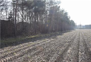 Was manchem Betrachter wie ein Wald erscheint, ist im Grunde nur ein Windschutzstreifen, der lange Jahre nicht gepflegt, also nicht zurückgeschnitten wurde. Von 25 Meter Breite wird der Streifen nun auf fünf Meter verkleinert, um Platz für dringend benötigtes Bauland zu schaffen.