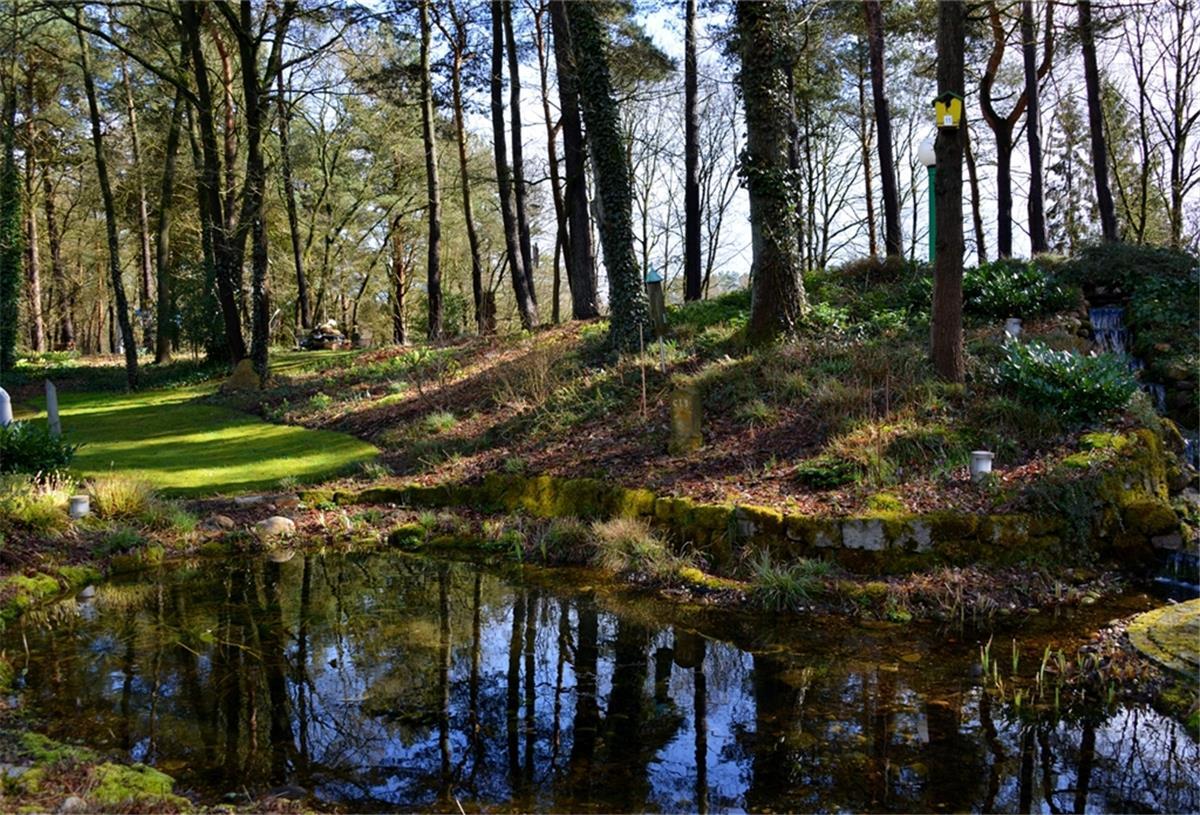 Das Foto zeigt einen naturnah gestalteten Landschaftsgarten. 