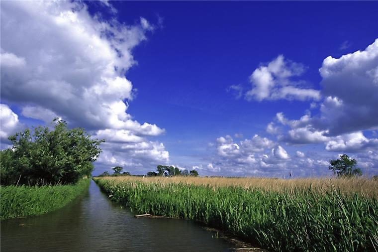 Stadland: Das Naturwunder auf der Strohauser Plate Wasser, Schilf und Wiesen: Die Strohauser Plate ist ein Naturparadies in der Weser.