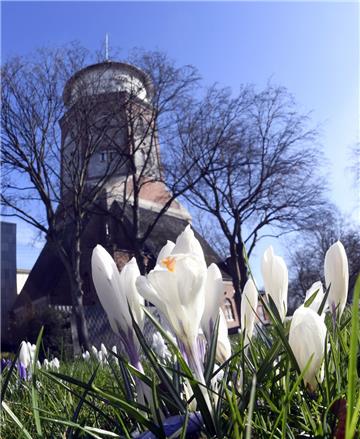 Wasserturm und Krokusse im Leher Stadtpark.