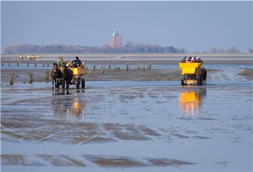 Wattkutschen mit Touristen sind im Watt zwischen Cuxhaven und der Insel Neuwerk unterwegs.