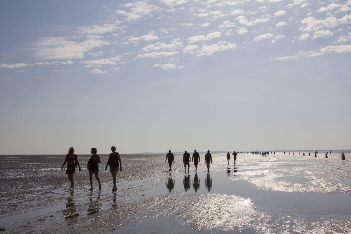 10 Dinge, die ihr beim Wattwandern beachten solltet Wattwandern ist bei Touristen beliebt. Doch viele unterschätzen die Gefahr, die auch an so schönen Tagen im Watt lauert.