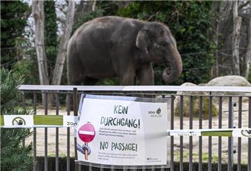 Wegen der Maul- und Klauenseuche wurde der Zoo Berlin kurzzeitig vorsorglich geschlossen.