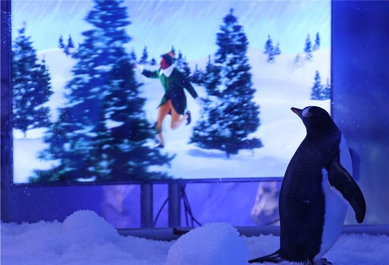 Englisch lernen mit Weihnachtsfilmen Weihnachtsfilme locken viele vor den Fernsehapparat.