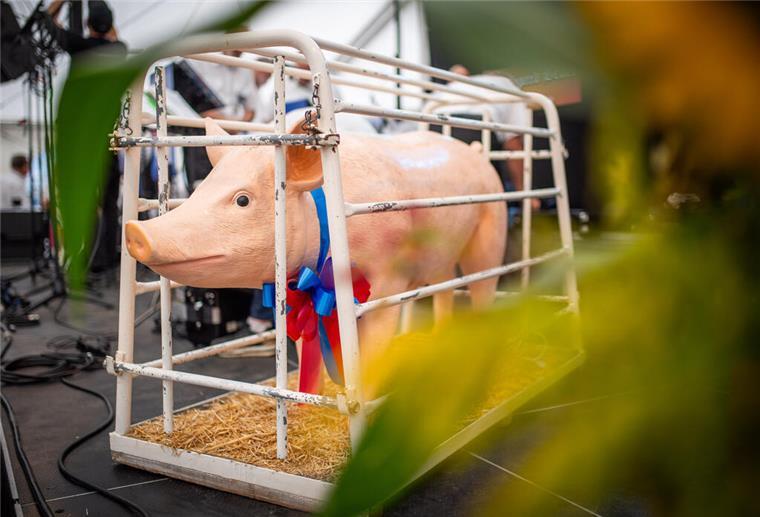 Randale auf dem Dedesdorfer Schweinemarkt: Betrunkener Bremer attackiert Helfer und Polizisten Weil er beim Schweinemarkt in Dedesdorf erst zu viel getrunken hat und dann hochgradig aggressiv wurde, hat ein 32-jähriger Bremer mehrere Strafverfahren am Hals.
