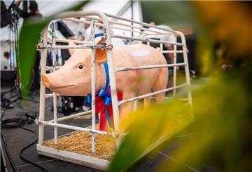 Weil er beim Schweinemarkt in Dedesdorf erst zu viel getrunken hat und dann hochgradig aggressiv wurde, hat ein 32-jähriger Bremer mehrere Strafverfahren am Hals.