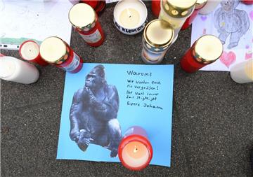Weil es einer Tierärztin nach dem Brand im Krefelder Zoo nicht gelang, einen schwer verletzten Gorilla einzuschläfern, erschoss ein Polizist das Tier.
