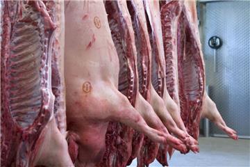 Weil in der Nacht zu Freitag ein mit Schweinehälften beladener Lkw umgestürzt ist, staut es sich rund um A7 in Hamburg. 