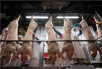 Weil in Schlachtbetrieben in NRW und Schleswig-Holstein viele Coronafälle aufgetreten sind, werden auch in Betrieben in Niedersachsen verstärkt Tests durchgeführt.