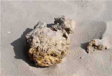 Giftiges industrielles Paraffin liegt am 01.09.2016 auf der Vogelschutzinsel Scharhörn (Hamburg) am Strand