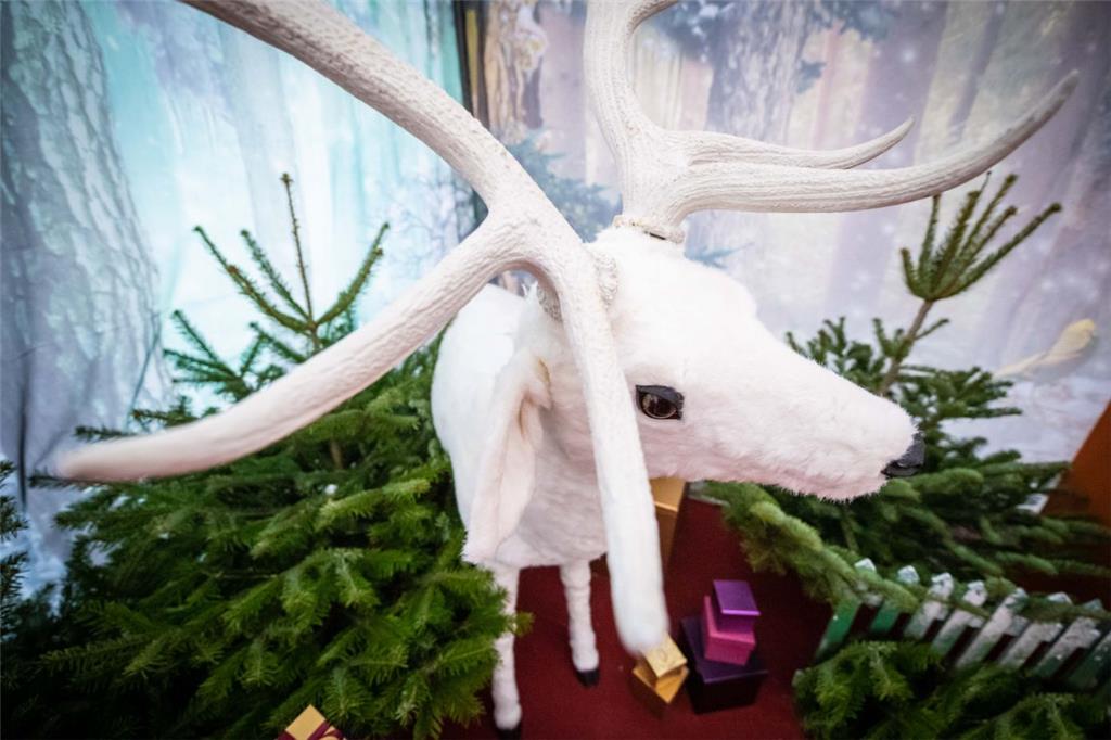 Weißer Platzhirsch bewacht die Geschenke unterm Tannenbaum. Foto: Hartmann