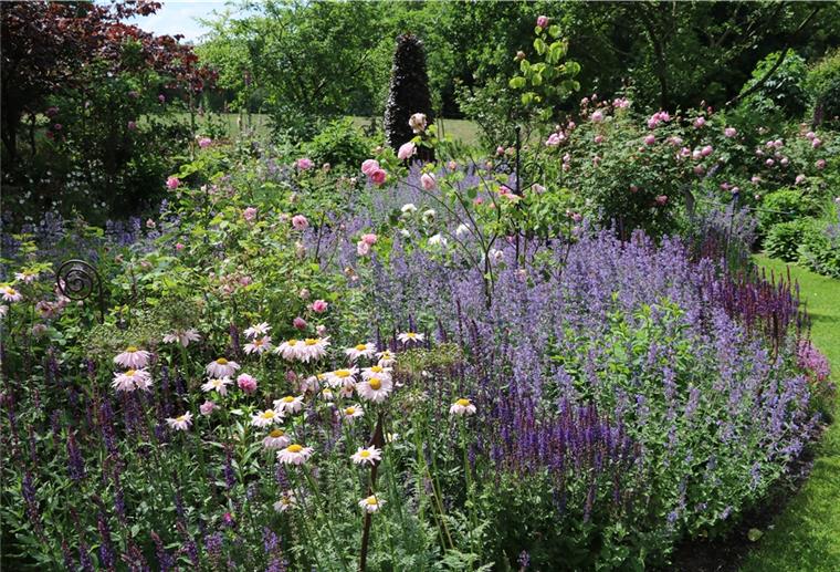 Wenn die Gartenpforten im Cuxland, in Bremerhaven und in der Wesermarsch an drei Wochenenden im Juni geöffnet werden, können dabei auch naturnahe Gärten bewundert werden.