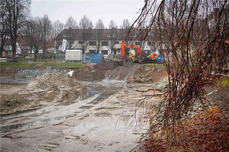 Wenn die Rampe ins Becken an der Nordost-Ecke zurückgebaut ist, muss an der Stelle das Ufer des Holzhafens in Bremerhaven noch mit Wasserbausteinen befestigt werden. Gesetzt wurden am Ufer insgesamt 3750 heimische Uferpflanzen.